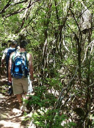 trails-trailsreisen-wanderreise-trekking-erlebnisreise-gruppenreise-wandenr-eruopa-madeira2