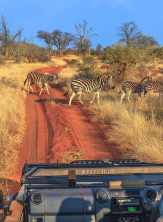 trails-trailsreisen-Urlaub-naturreise-gruppenreise-afrika-namibia-safari-wanderreise-118