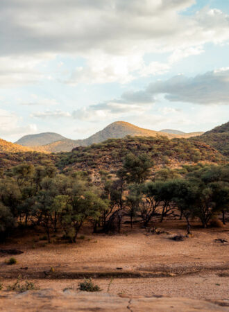 trails-trailsreisen-Urlaub-naturreise-gruppenreise-afrika-namibia-safari-wanderreise-104