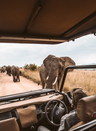 trails-trailsreise-Urlaub-naturreise-gruppenreise-afrika-südafrika-safari-wanderreise-32