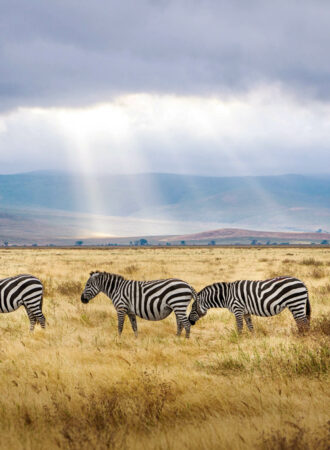 trails-trailsreise-Urlaub-naturreise-gruppenreise-afrika-tansania-safari-wanderreise-03
